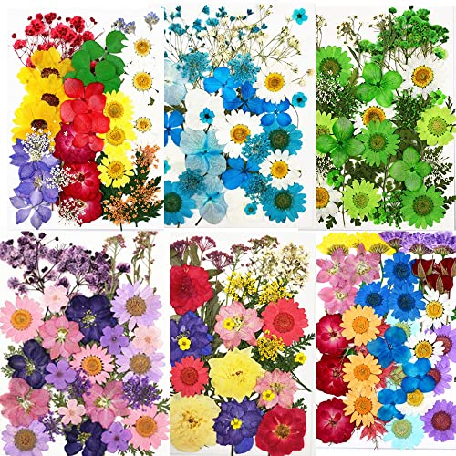 1 bolsa de adhesivos de flores secas prensadas miniatura 4
