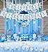 Kratwow Winter Snowflake Birthday Banner Winter Onederland 1st 2nd 3rd Birthday Party Decorations Snowflake Frozen Birthday Decorations Snowflake Winter Theme Party Christmas New Year Supplies