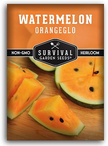 Orangeglo - Semilla de sandía para plantar, 1 paquete con instrucciones para plantar y cultivar sandía naranja en el jardín de frutas de tu hogar,