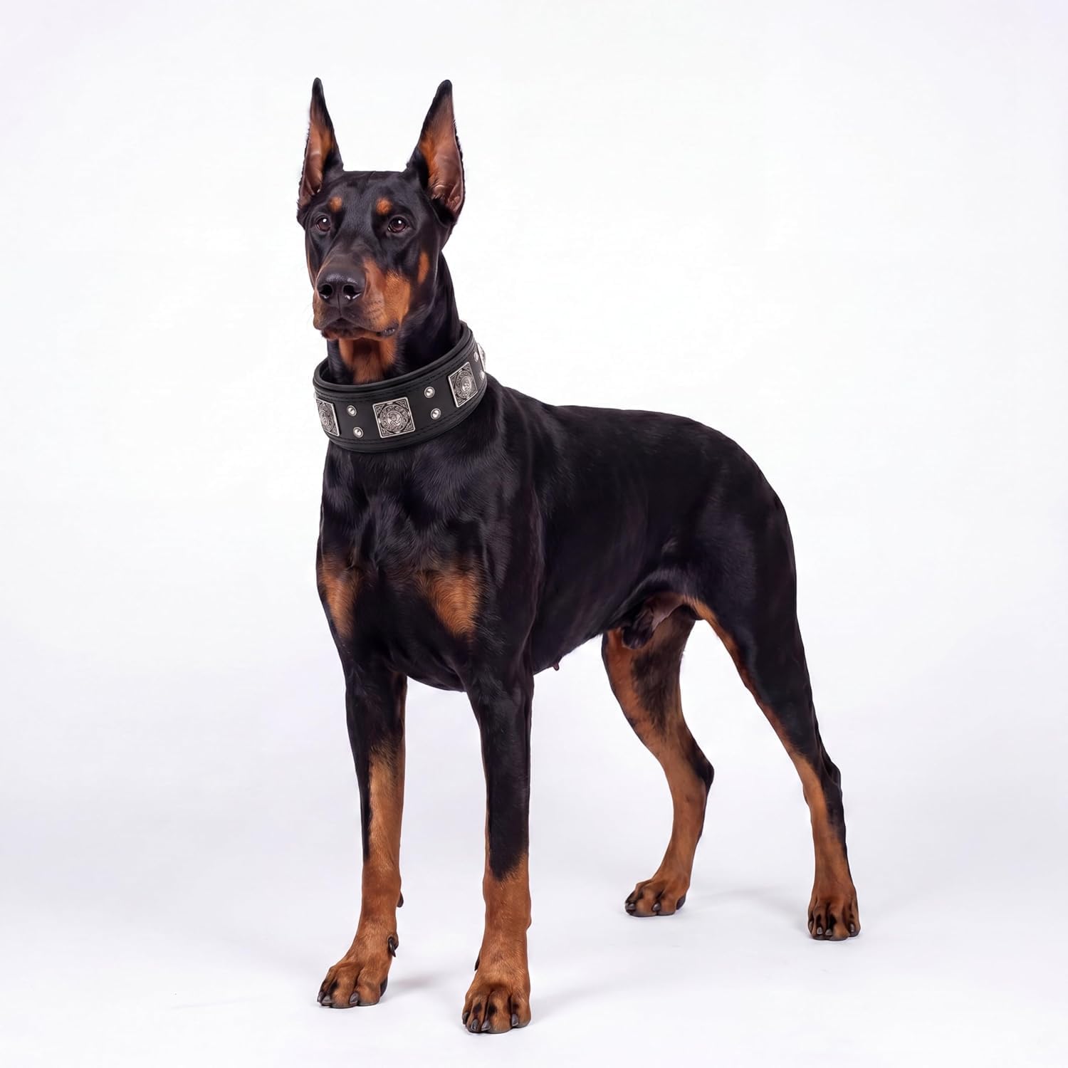 Bestia Eros'' Collar de Perro de Cuero Genuino Medio. Razas de Grandes tamaños. 100% Cuero. Clouté.rembourré. Hecho a Mano en Europa