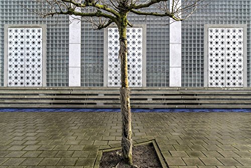 Kunst für Alle Impresión artística/Póster: Susanne Stoop Little Tree Scape - Impresión, Foto, póster artístico, 75x50 cm