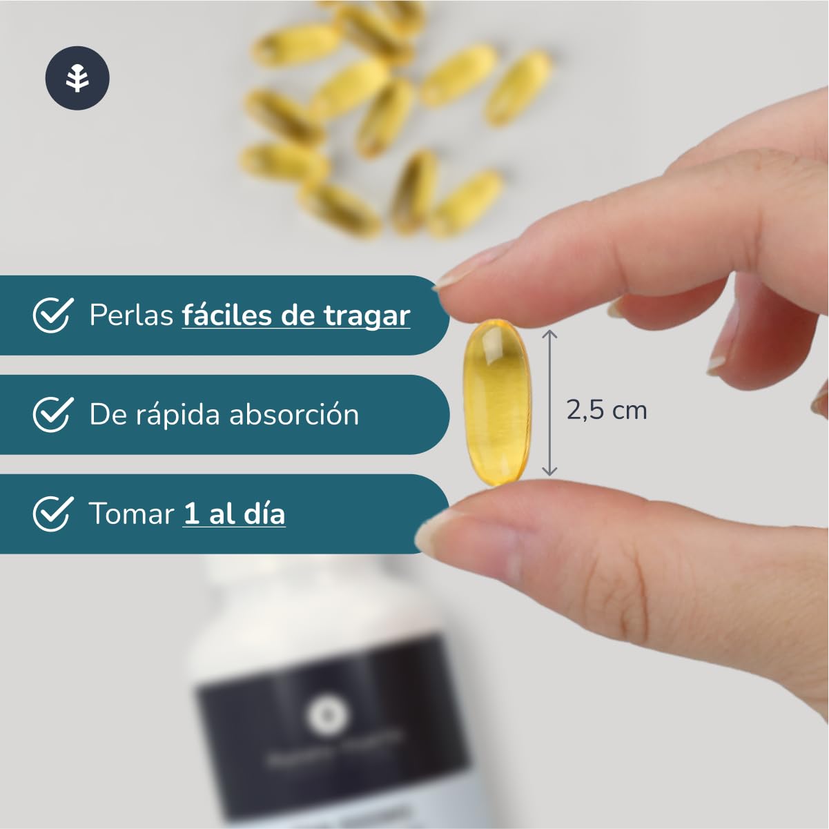 PLANETA HUERTO | Omega 3 DHA 1000 mg 150 Perlas - Omega 3 Alta Potencia para la Salud Cerebral, Visual y Fetal