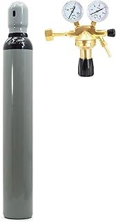 Bouteille d'azote - 10 l - Avec réducteur de pression - Remplie - 200 bar - 2,0 m3 - Pour climatisation, soudure, gonflage de pneus