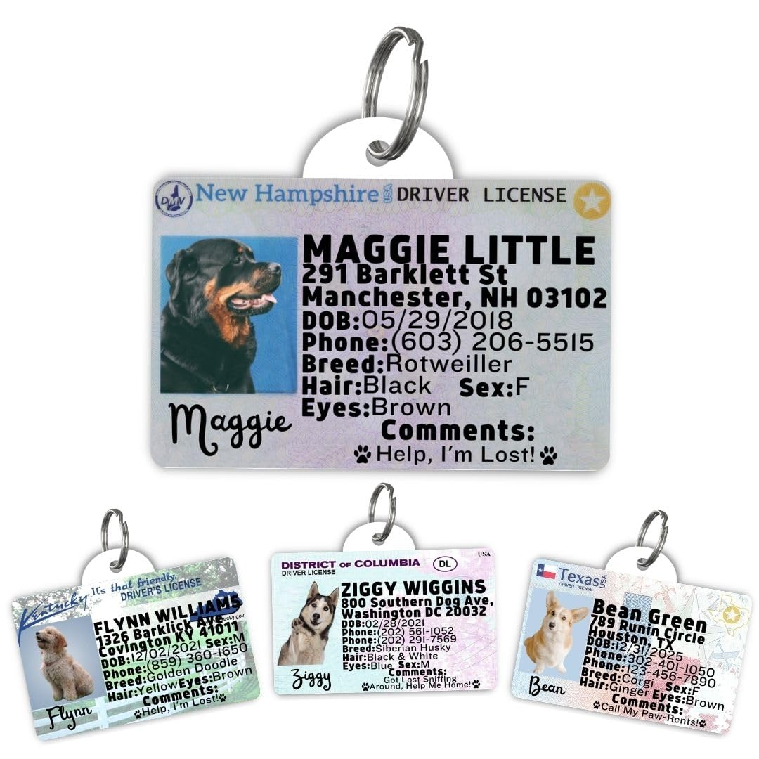 Custom Pet Driver License ID Tag - Driver License Custom Dog Tag for Pets - Dog ID Tag - Personalized Dog ID Tags - Cat ID Tags - Pet ID Tags for Cats - Personalized Pet ID Tags (Newhampshire, Tag)