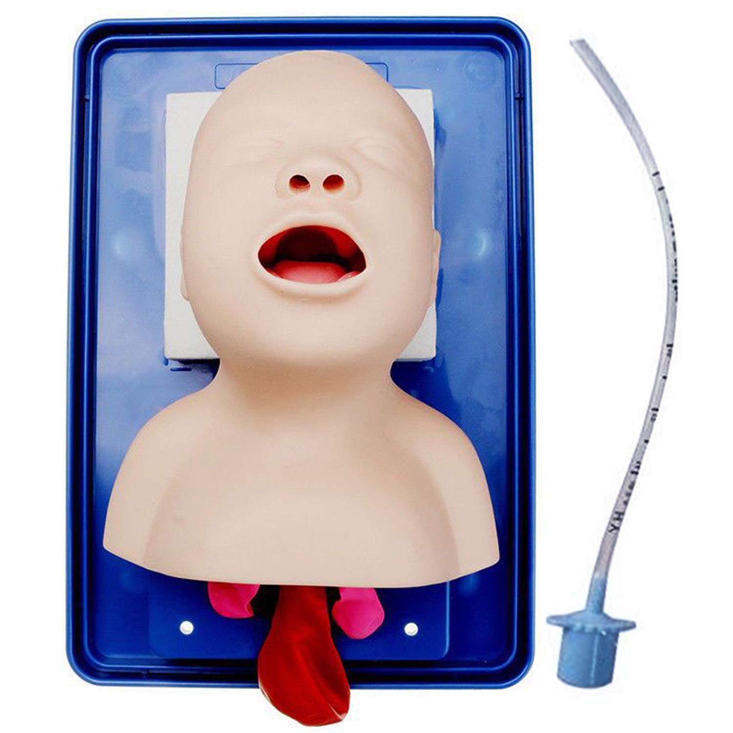 Buy COOLNAN Intubation Manikin Study Teaching Infant Model Management