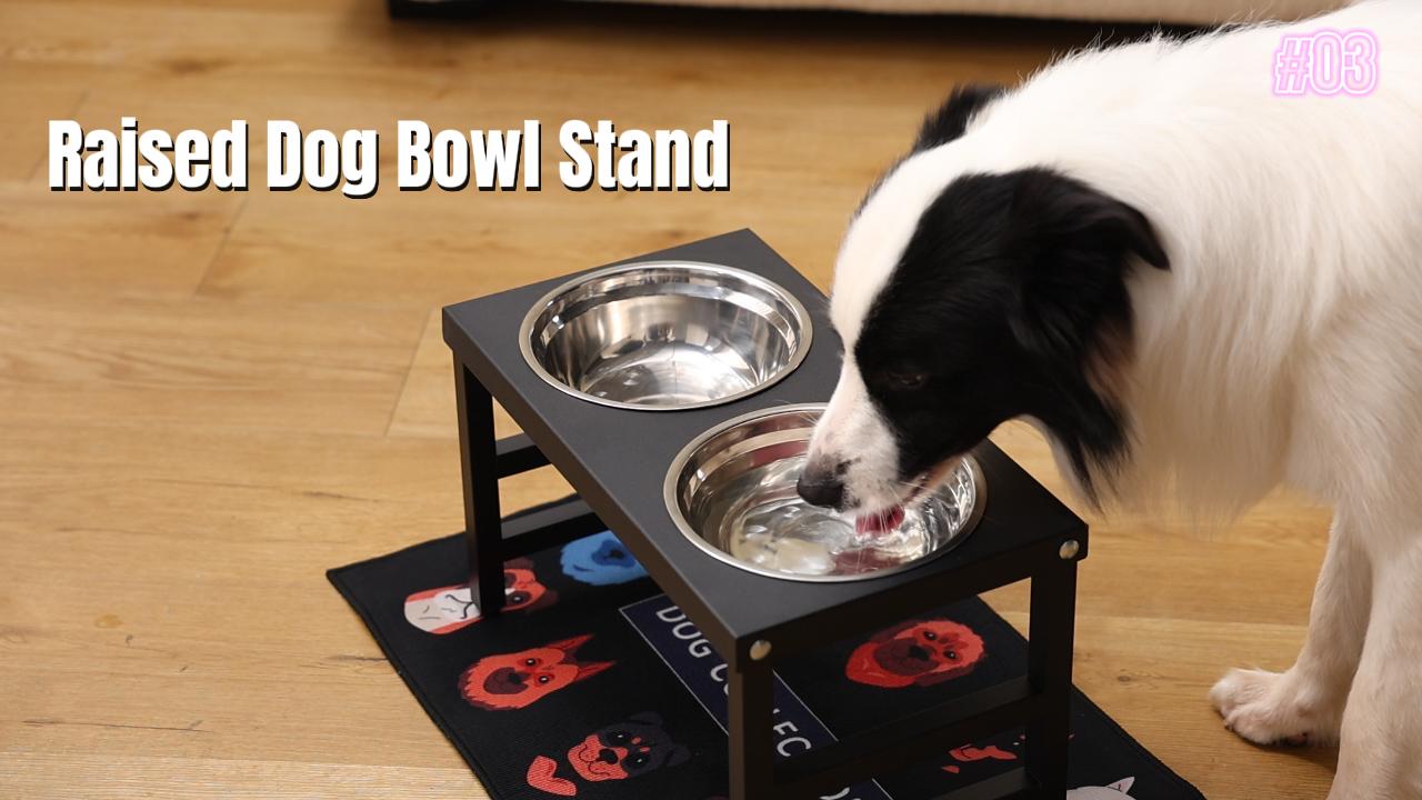 Pet Supplies : ADENGL Metal Raised Dog Bowl, 10" Height Tall Elevate Dog  Feeder Stand with 2 Stainless Steel 42oz Bowls & 16x24 Non-Slip Mat   Stronger Dogs Food & Water Bowl