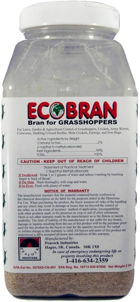 Amazon.com : TERRO Multi-Purpose Insect Bait T2401, 2Lbs : Insect Traps ...