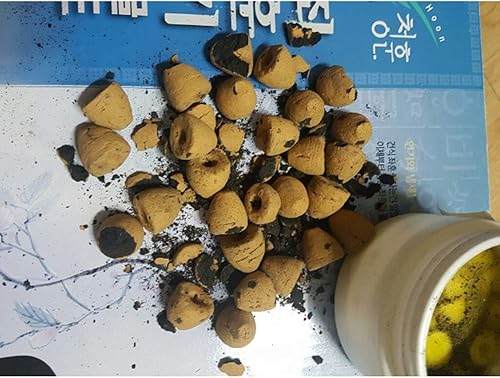 Miniatura 7 de CHUNGHUN - Asiento de vapor de artemisa a base de hierbas, para la salud de la cara y los bajos del cuerpo (asiento de vapor + cojín + artemisa 30ea