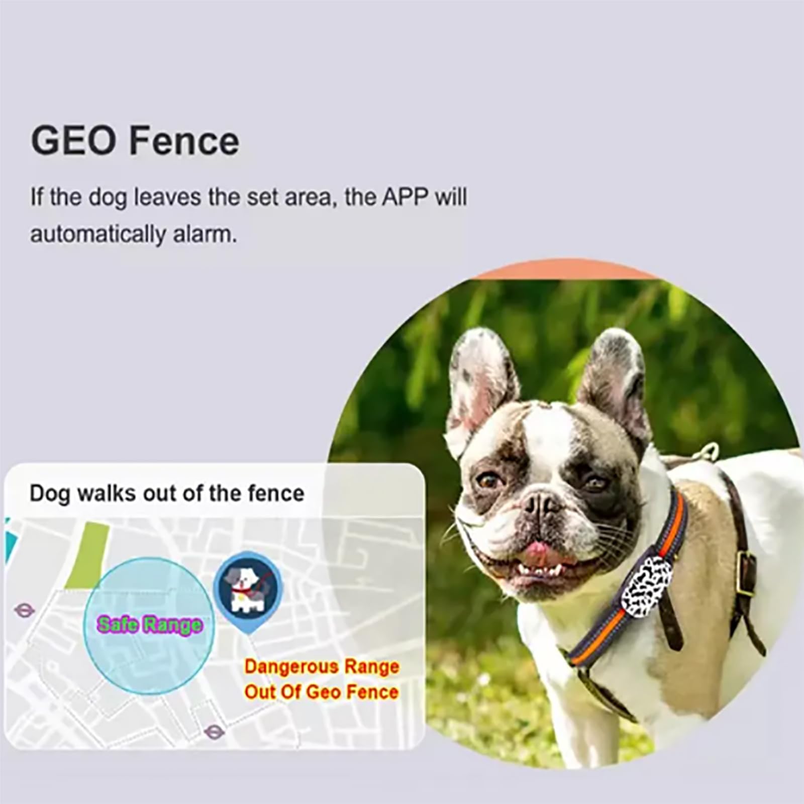 Rastreador GPS Para Perros, Localizador De Mascotas Con Collar, Diseño Resistente Al Agua, Múltiples Modos De Posicionamiento Y Rastreador De Actividad Inteligente, Funciona Con Cualquier Collar
