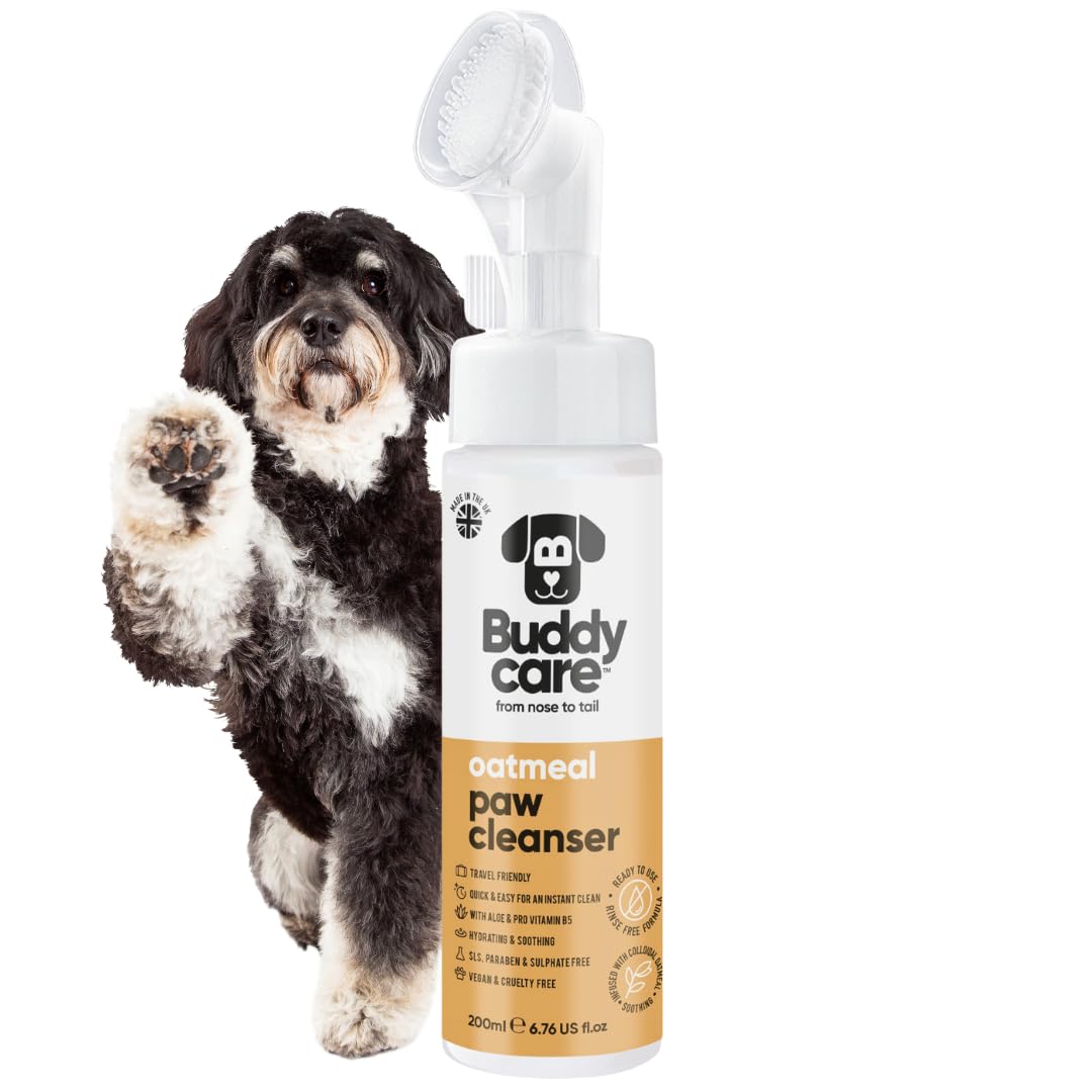 Buddycare Środek do czyszczenia łap dla psów o zapachu płatków owsianych, 200 ml, bez płukania, bezwodny środek do czyszczenia łap dla psów, delikatne rozwiązanie dla błotnistych łap, odpowiedni dla