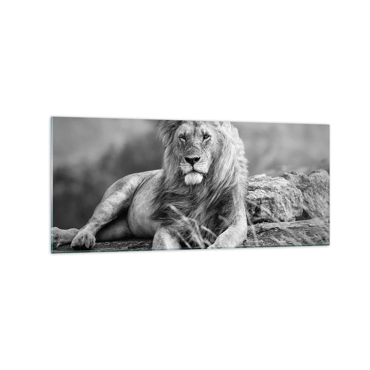 ORTF : Figurine JIM Moska série ORTF Titus le petit lion - 1967