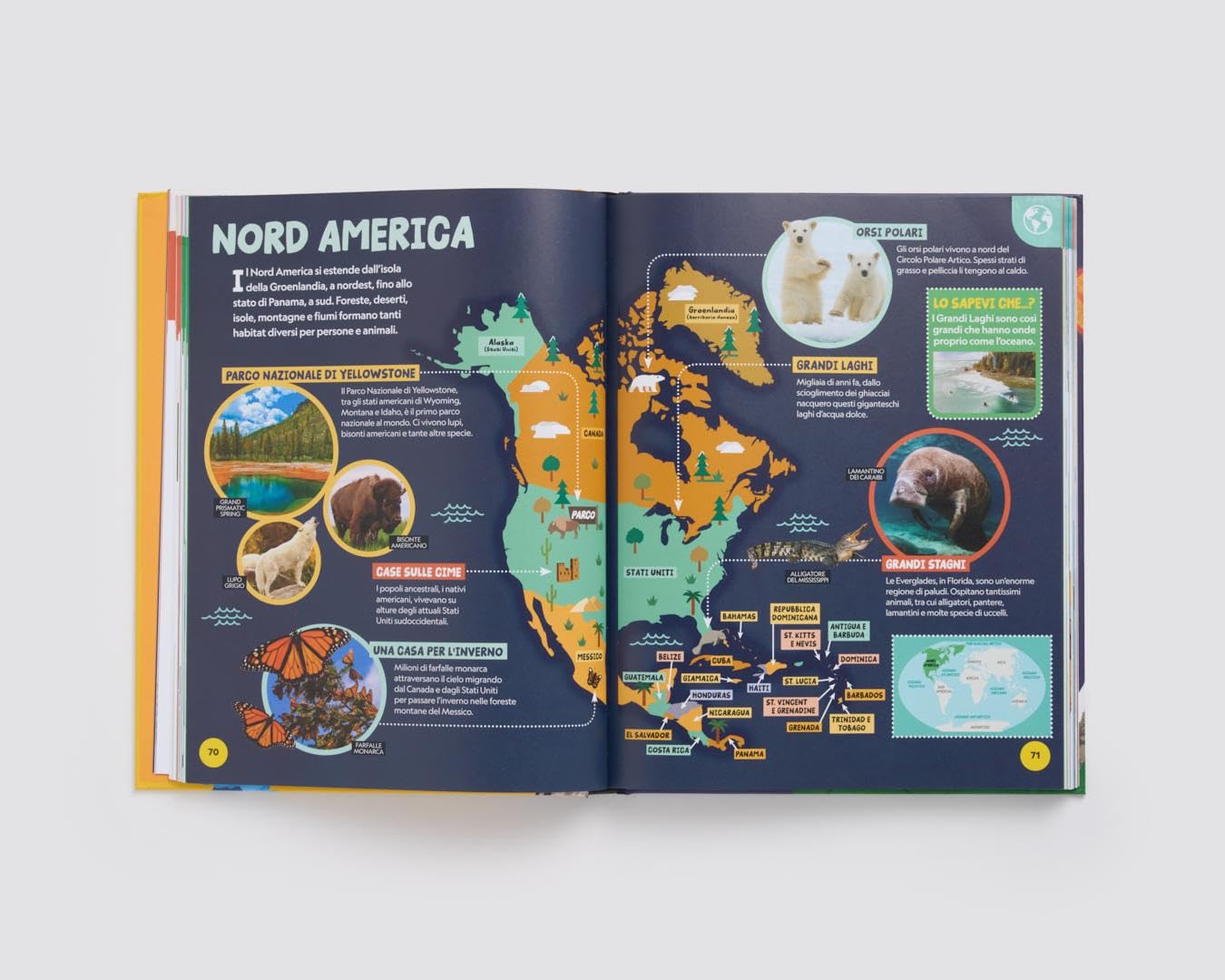 La mia prima grande enciclopedia. Ediz. a colori
