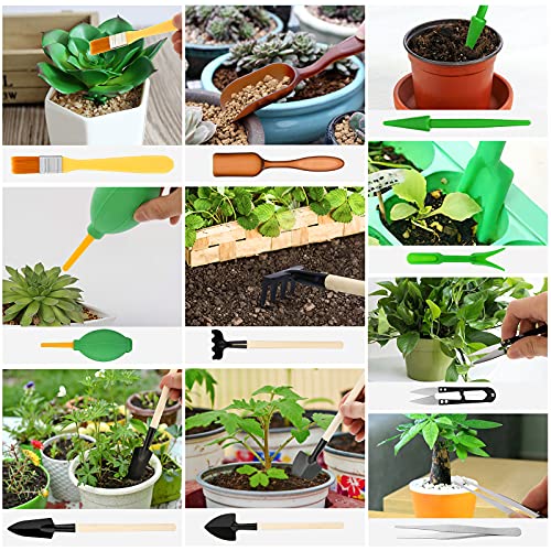 Yolidas 100 Pcs Garden Tools Set, Succulent Tools Set Included, Heavy Duty Aluminum Gardening Tools for Gardening, Non-Slip Ergonomic Handle Tools, Durable Storage Tote Bag, Gifts Tools for Women Men