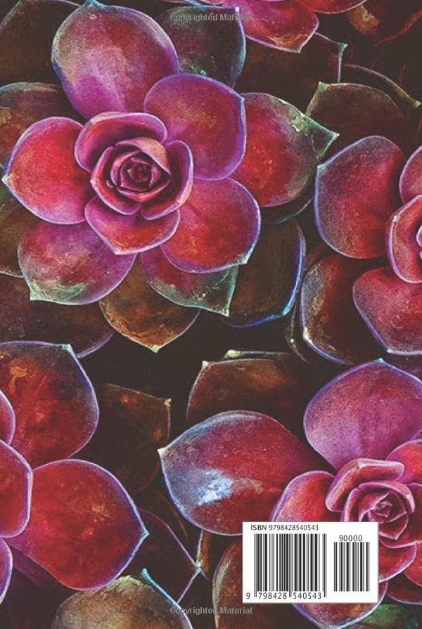 Carnet de composition succulentes rose vif 120 pages lignées reliure rigide durable 15x23 cm - 2
