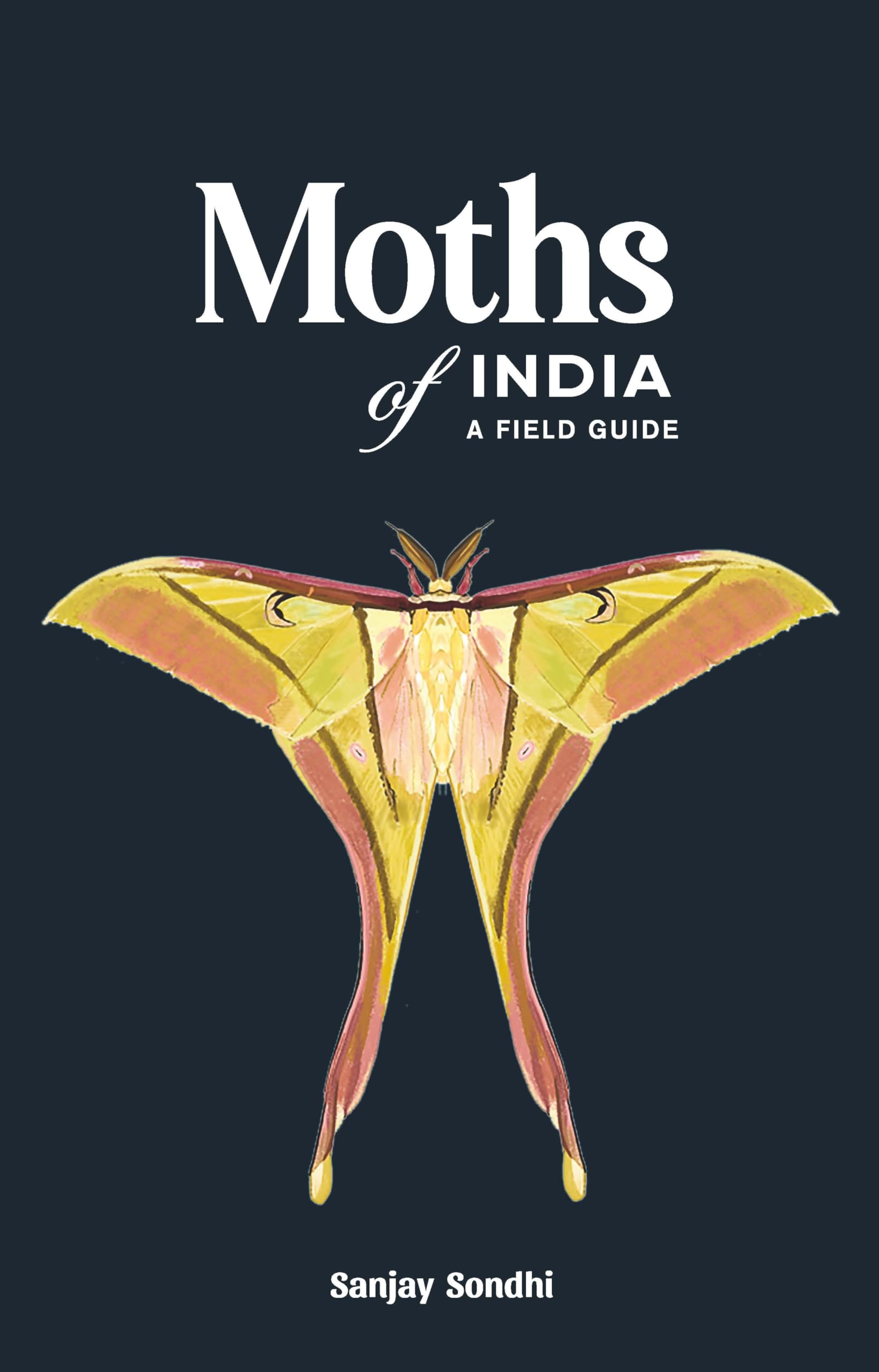 Moths of India A Field Guide