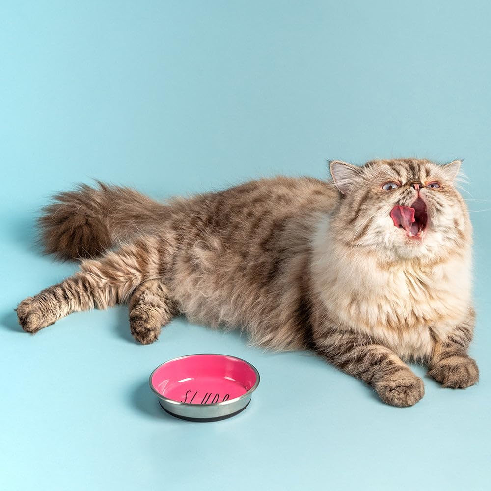 HUFT Slurp Kitten Bowl β Pink, Small | Feeding Bowl for Kittens & Puppies | Durable & Lightweight | Easy to Clean | Ideal for Food & Water for Kittens Daily Use 1