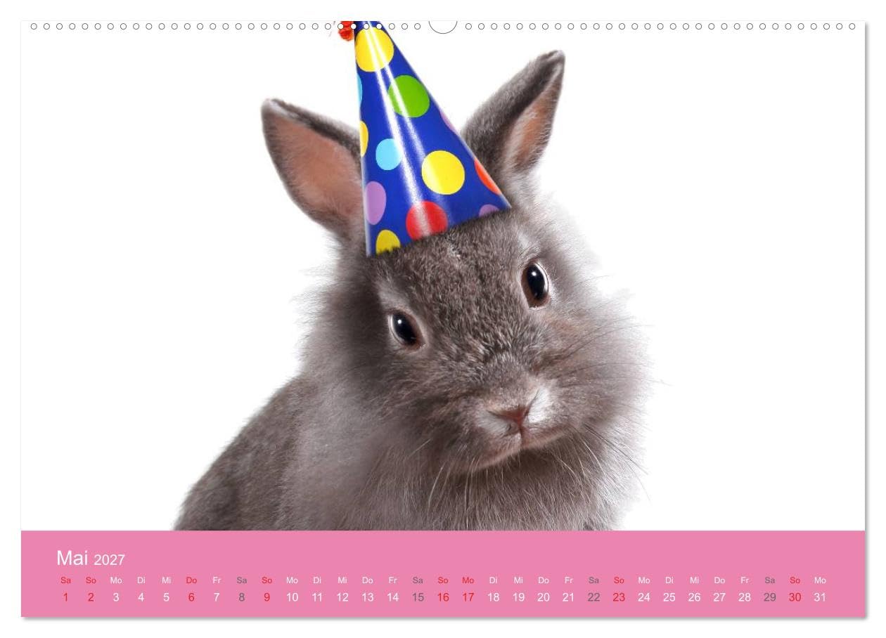 CALVENDO - Süße Tier-Babys! (hochwertiger Premium Wandkalender 2027 DIN A2 quer), Kunstdruck in Hochglanz: Kleine Herzensbrecher für die ganze Familie