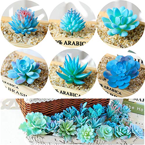 Cayway 21 Pz Succulente Piante Artificiali Blu