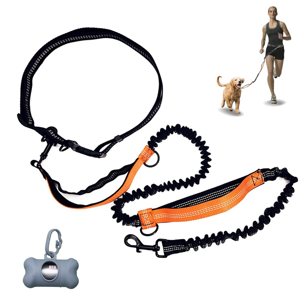 Neostyle Hands Free Dogs Leash, Shock Absorbing Elastic Dog Leash for Running and Hiking Training,Adjustable Waist Belt and Reflective Wire,for Medium To Large Dogs(orange)