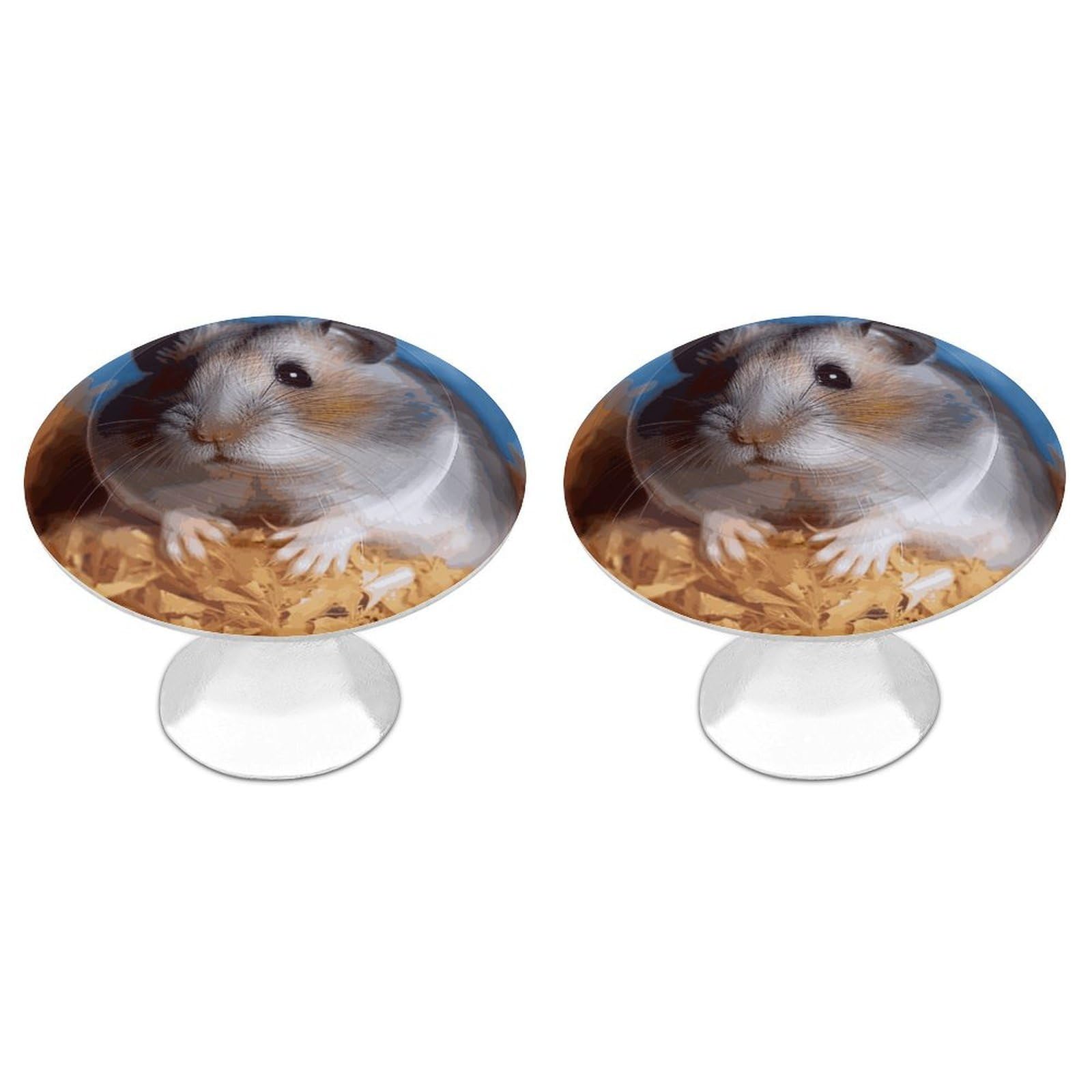 DWVTSLH Hamster Cabinet Handles 2 Pack Stainless Steel Kitchen Drawer Pulls with Installation Screws Round Dresser Drawer Knobs 1.1 Inch Modern Cabinet Hardware Door Handles