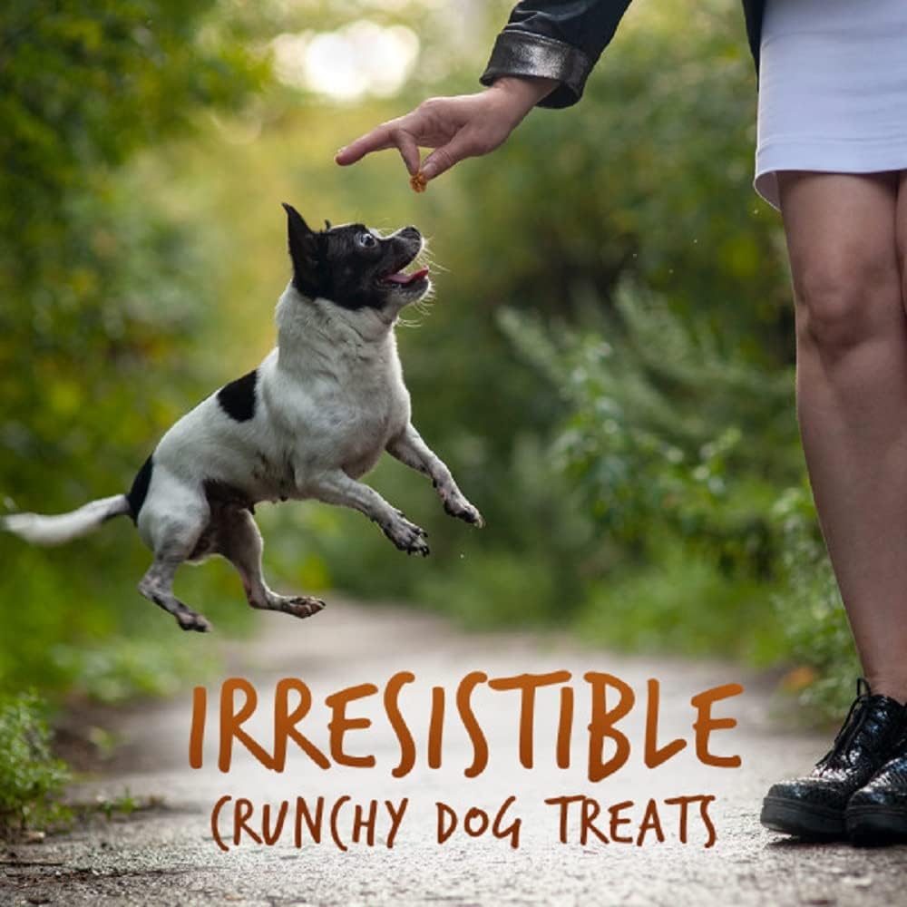 Fruitables Baked Dog Treats, Healthy Pumpkin Treat for Dogs, Low Calorie & Delicious, Free of Wheat, Corn and Soy, Made in the USA, Sweet Potato and Pecan Flavor, 7oz (Pack of 2) image 5