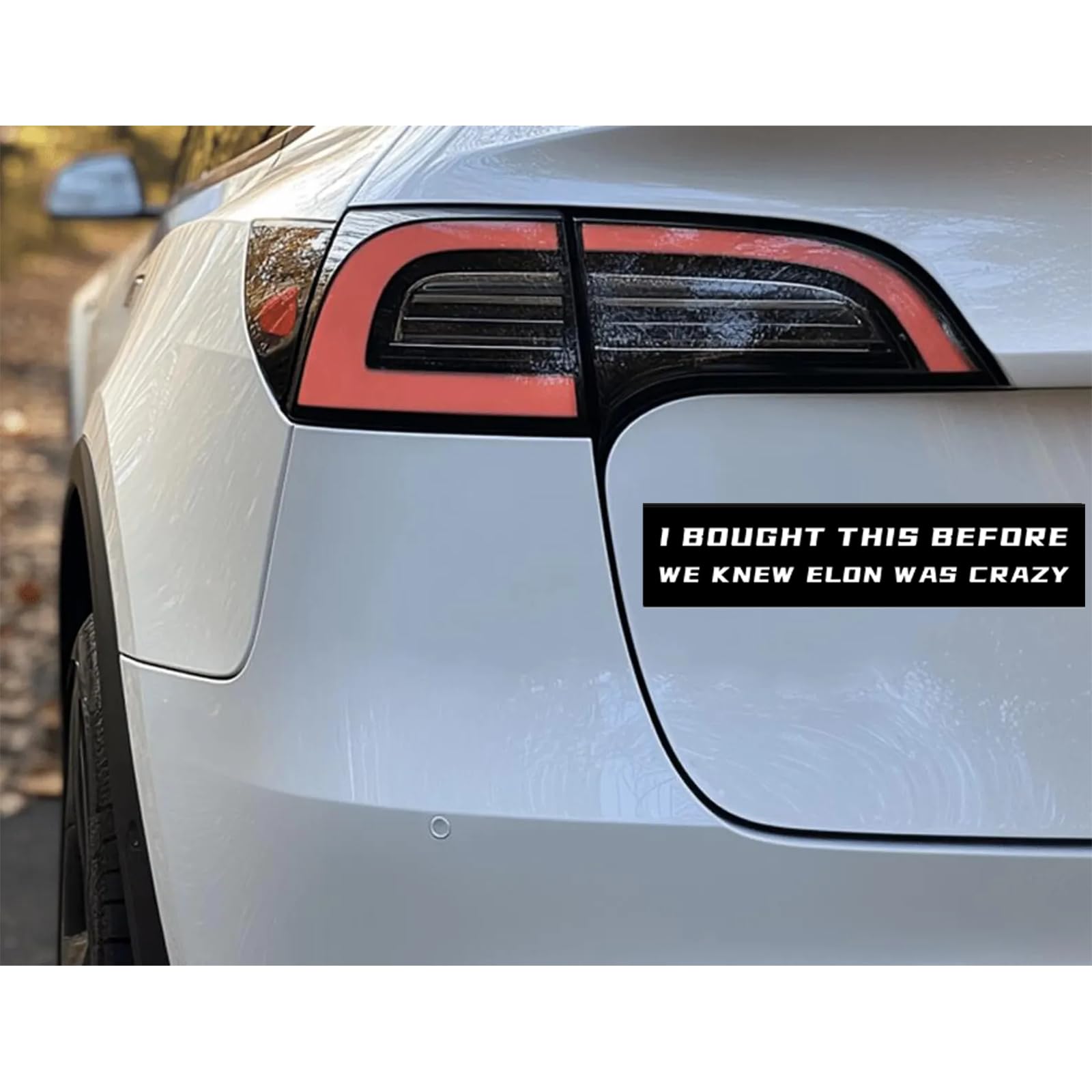 Adesivo Anti Elon Musk Per Tesla - Oracal Nero - "I Bought It Before He Went Crazy" - Foto 5