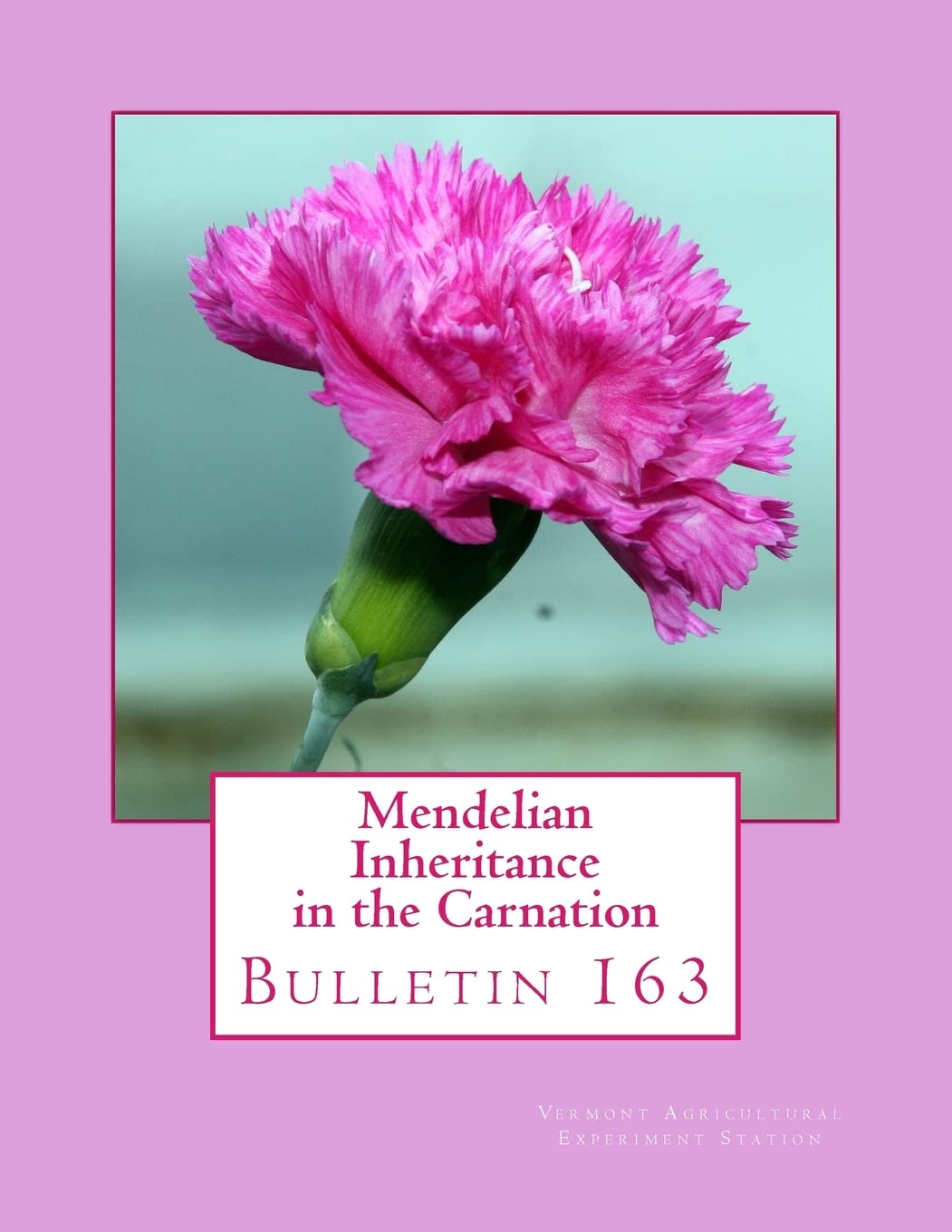 Mendelian Inheritance in the Carnation: Bulletin 163