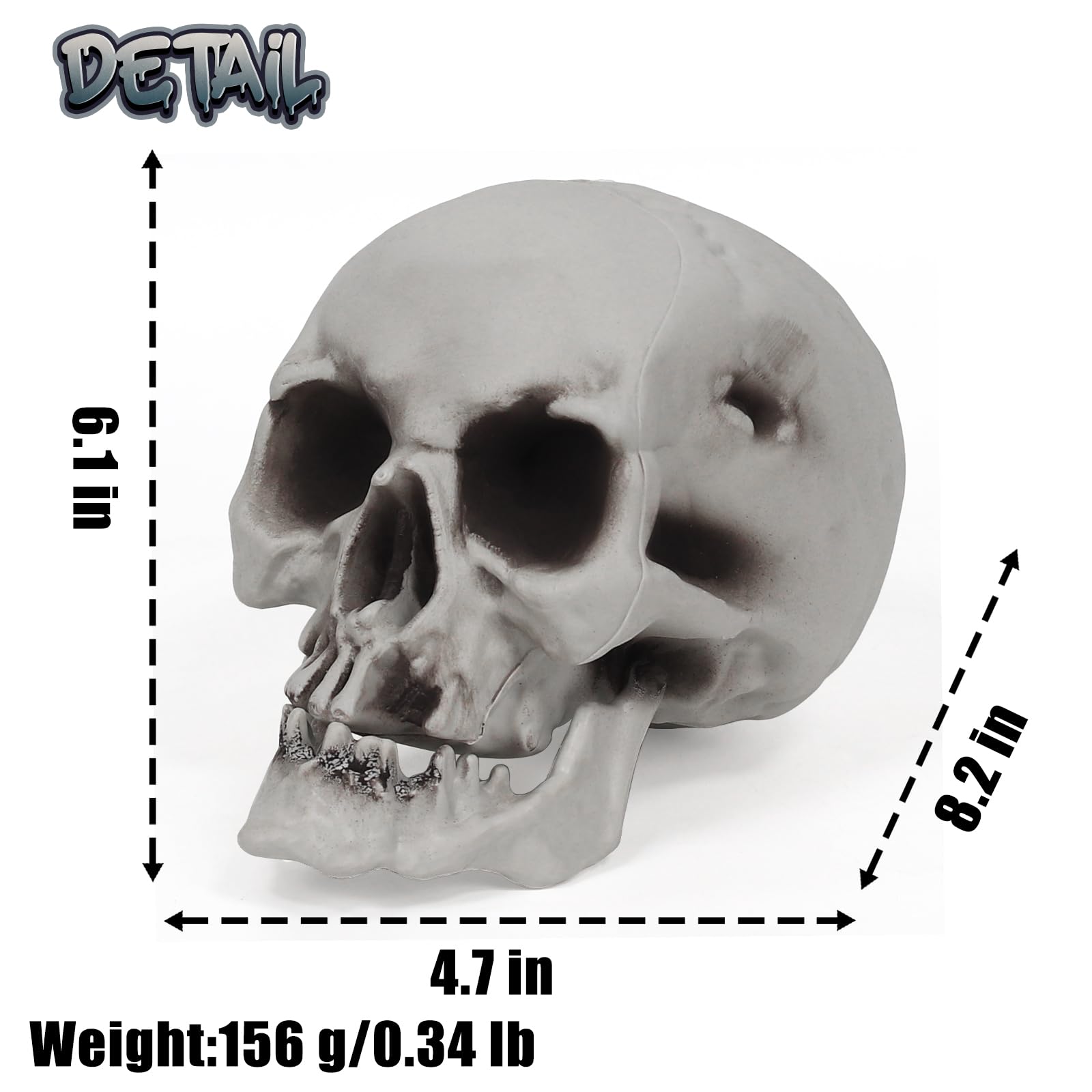 valiem MM SKULL(BONE) Sサイズ Amazon.com: MOKRY PARTY Human Skull Skeleton Life Size for