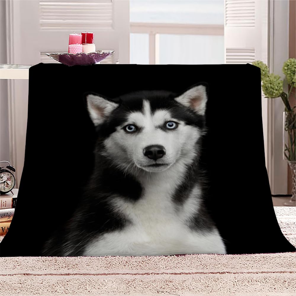 Douce Flanelle Couverture Polaire 3D Chien Husky Microfibre Fluffy Couverture de literie 2 Personne Chien Animal Compagnie Enfant Adultes Fille Garcon Sherpa Couverture de canapé 150x200cm