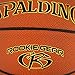 Spalding Rookie Gear Youth Indoor-Outdoor Basketball 27.5