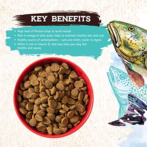 Inception Dry Dog Food Fish Recipe - Image 3