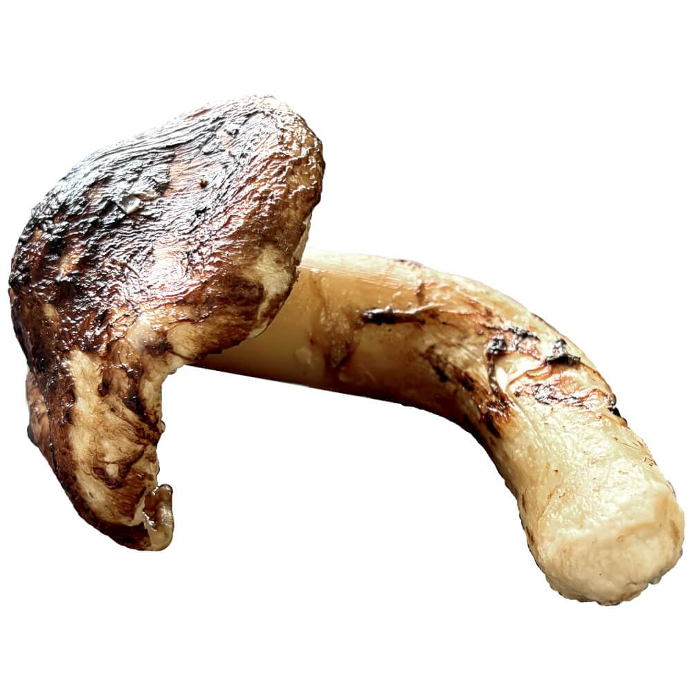 Amazon.co.jp: 松茸 生松茸 冷凍 開き 1000g 1kg 8-15cmサイズ ホール