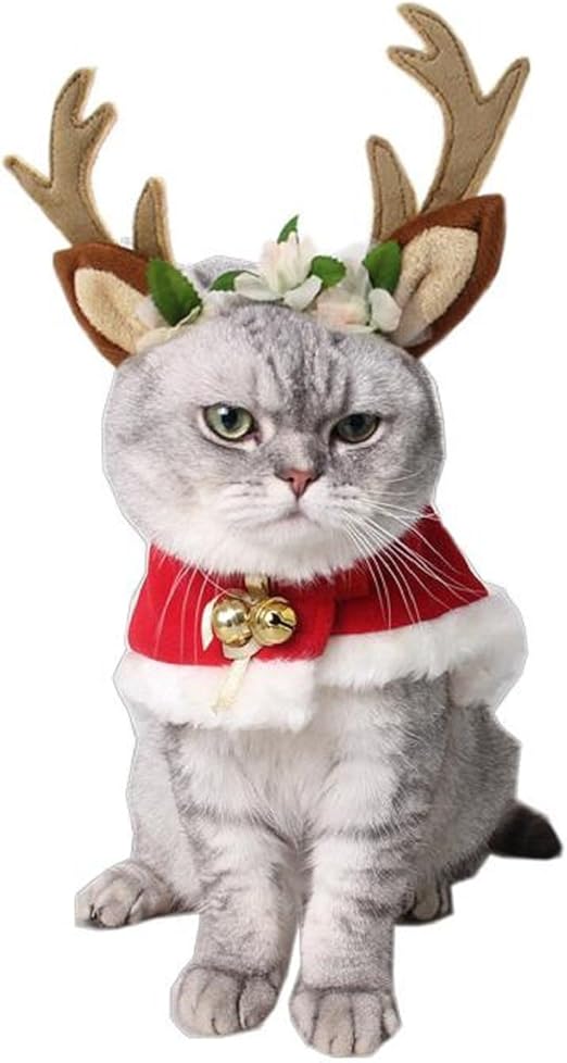 最安値に挑戦 バッファローチェック柄のクリスマスの足の犬 サンタの帽子とライトのギフト パーカー 珍しい Diquinsa Com Mx 最安値に挑戦 バッファローチェック柄のクリスマスの足の犬 サンタの帽子とライトのギフト パーカー 珍しい Diquinsa Com Mx