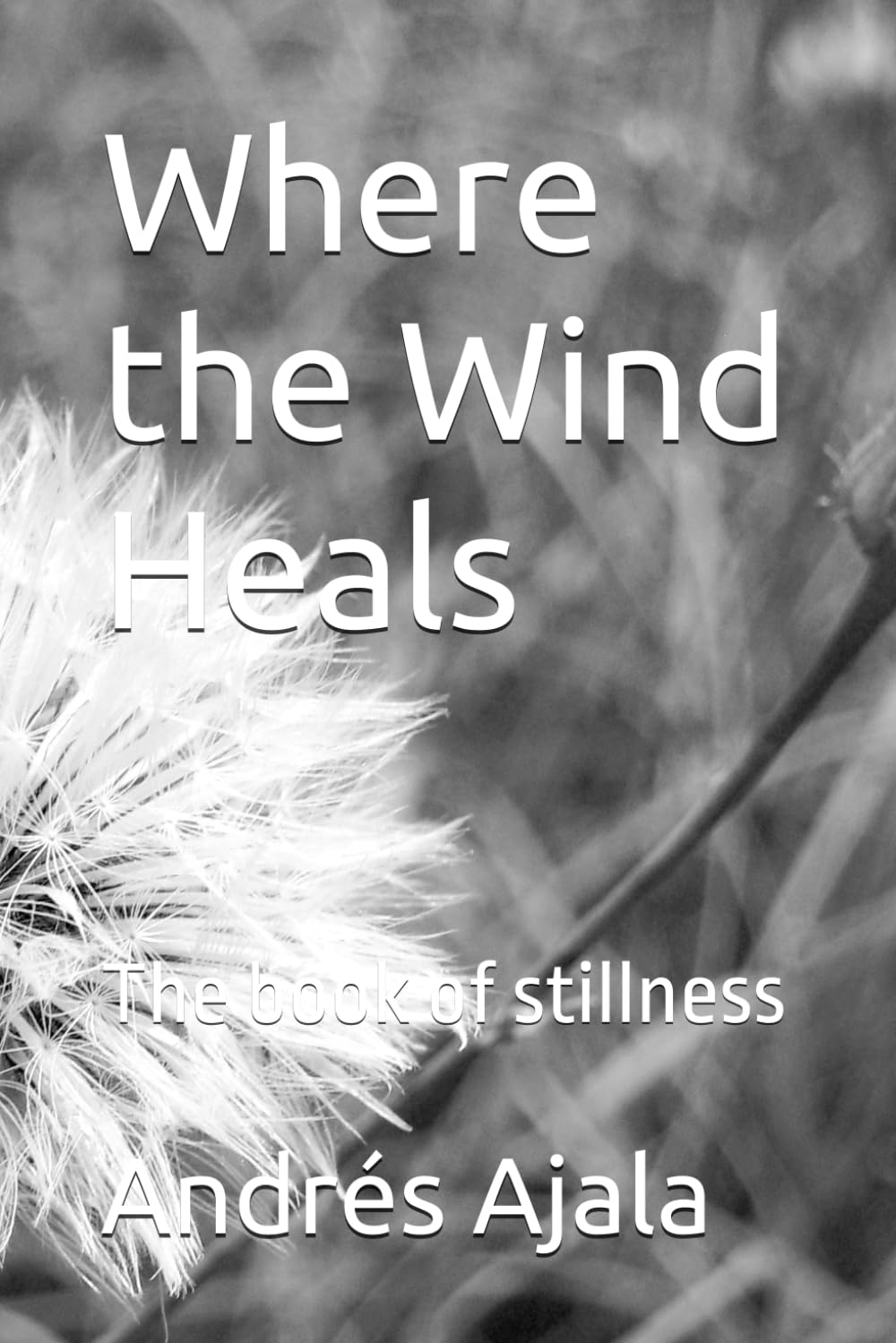 Where the Wind Heals: The book of stillness