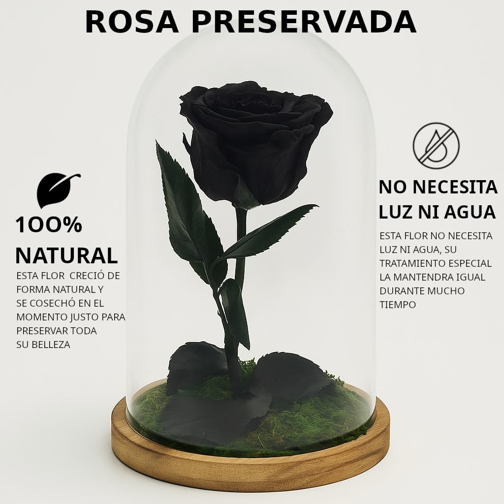 Mundo Eterno| Rosa Preservada Negra en Cúpula de Cristal | Rosa Eterna Natural | Regalo Original | 22x12 cm
