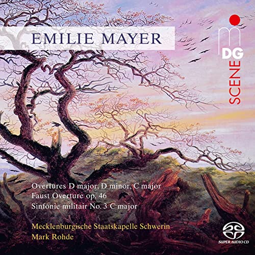 Mayer Orchestral Works album symphonie Mecklenburgische Staatskapelle