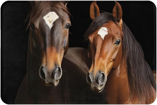 Two Horses Standing on Black Background Printed Doormat Rug Washable Non-Slip Floor Mats Soft Carpets Absorbent Throw Rugs for Living Room Bedrooms Bathroom 24x16 in