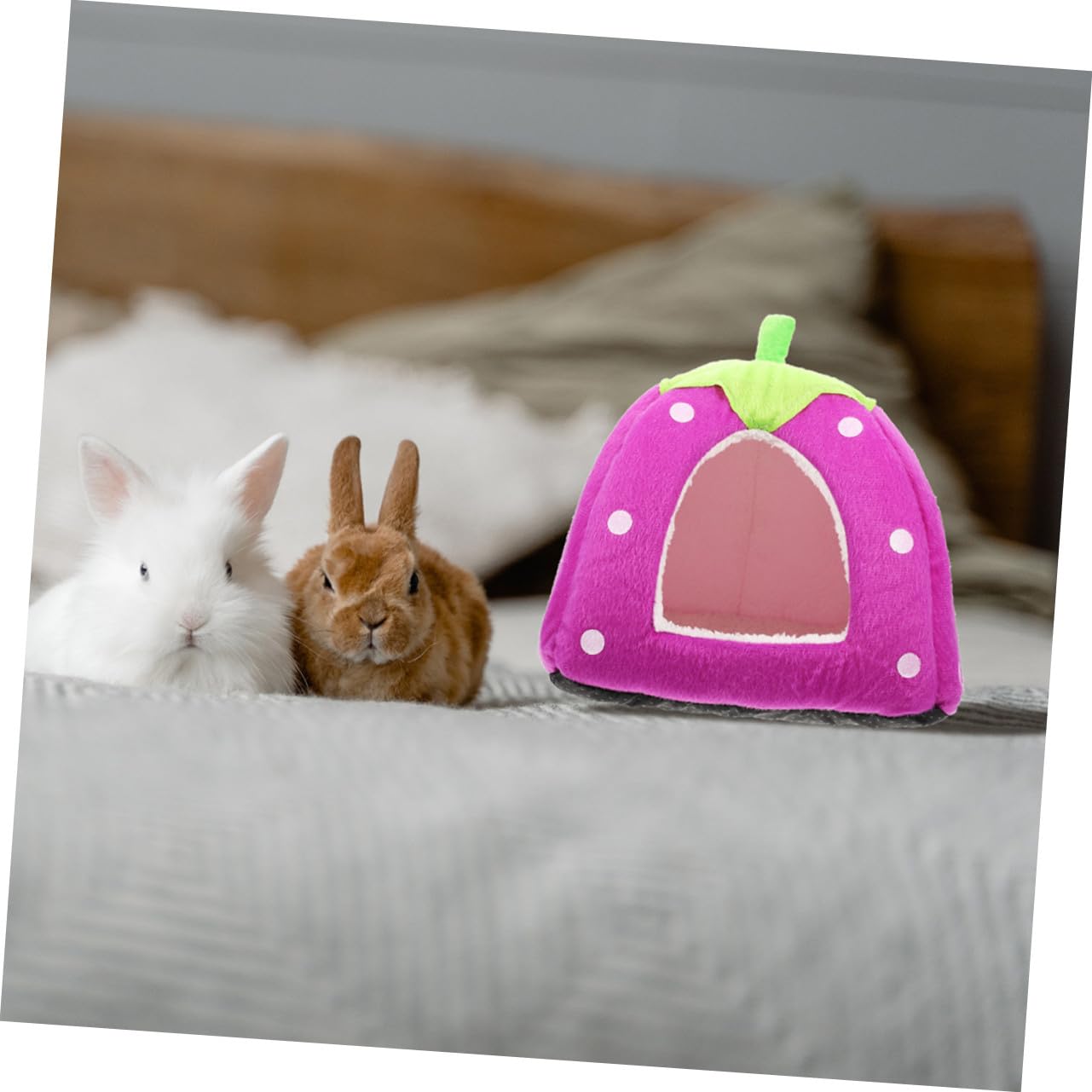 VANZACK Casa para Hámster Doméstico Forma de Caricatura, Cama Confortable para Chinchillas y Hurones, Tela Suave y Diseño Adecuado para Decoración y Juego