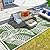 wikiwiki Outdoor Rug, 5x8ft Waterproof Reversible Mat Indoor Outdoor Rugs Carpet, Small Area Rug Plastic Straw Rug for Patio Deck Balcony Pool RV Camping Beach Picnic, Green