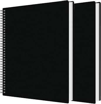 2Pcs Portfolio Binder with Plastic Sleeves, 60 Pockets Presentation Book Display 120 Pages File Folder for Artwork, Sheet Music, Document, Diamond Painting