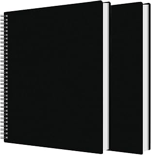 2Pcs Portfolio Binder with Plastic Sleeves, 60 Pockets Presentation Book Display 120 Pages File Folder for Artwork, Sheet Music, Document, Diamond Painting