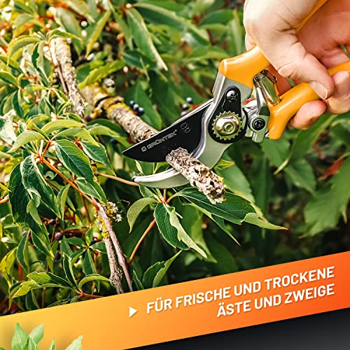 GRÜNTEK Tuinschaar fruitschaar specht 215 mm Bypass wijnschaar. Comfortabele boomplantenschaar met geldteruggarantie 90 dagen! - Afbeelding 4