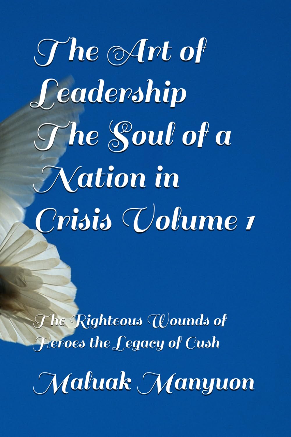 The Art of Leadership The Soul of a Nation in Crisis Volume 1: The Righteous Wounds of Heroes the Legacy of Cush