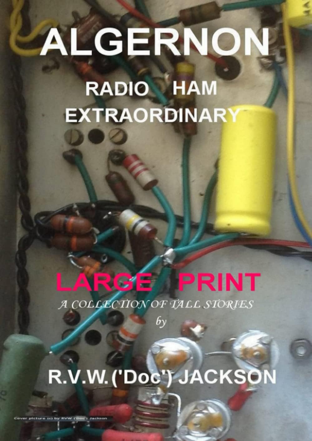 Algernon: Large Print: Radio Ham Extraordinary