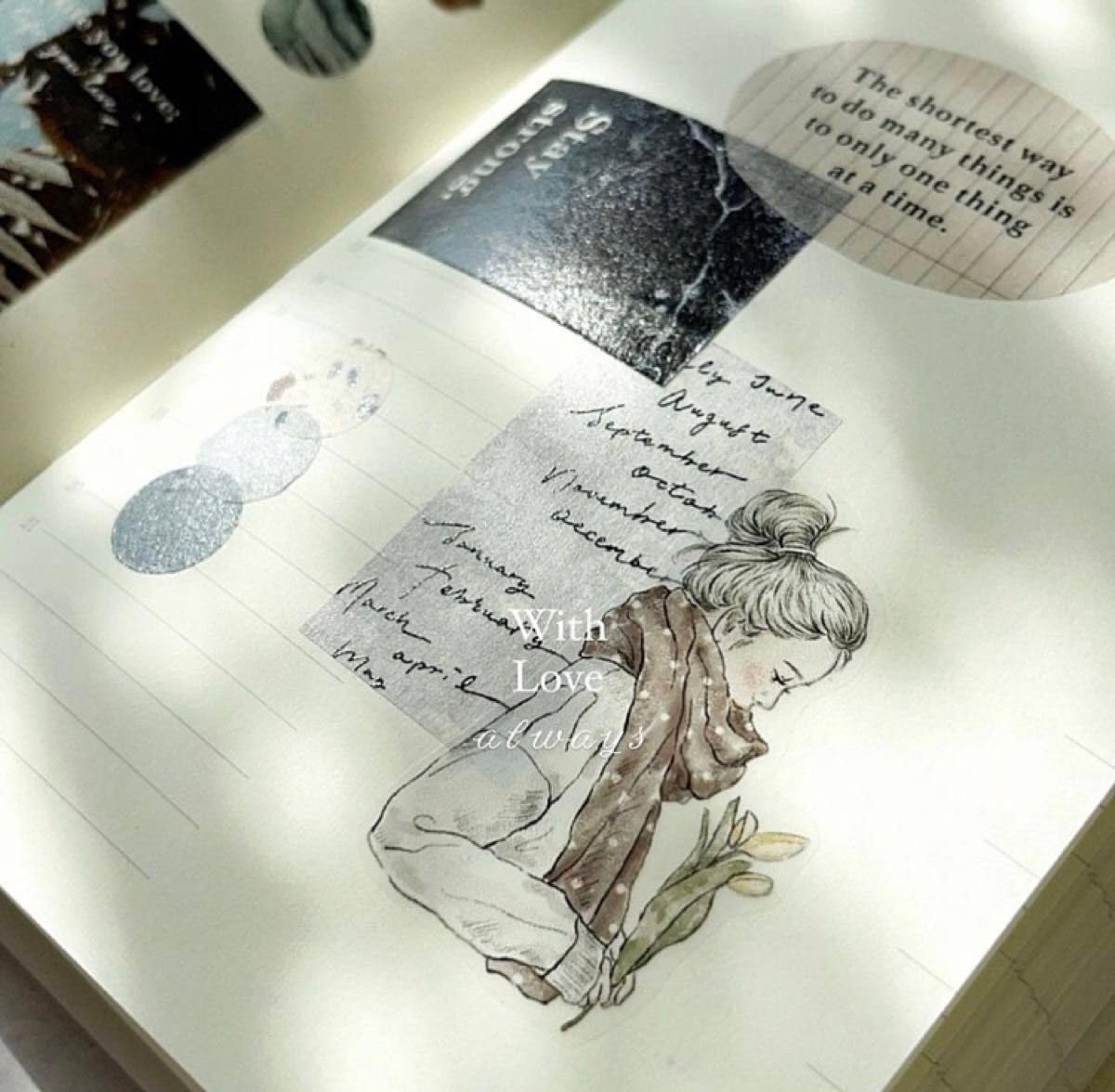 Amazon.co.jp: Pion 海外マスキングテープ PETテープ she: 文房具