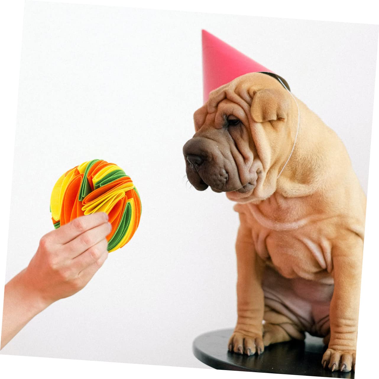 Kisangel 2piezas Juguete Interactivo para Perros Bola De Olfato para Mascotas Juguete De Masticación y Dispensador De Comida Estimula La Coordinación y Previene El Aburrimiento