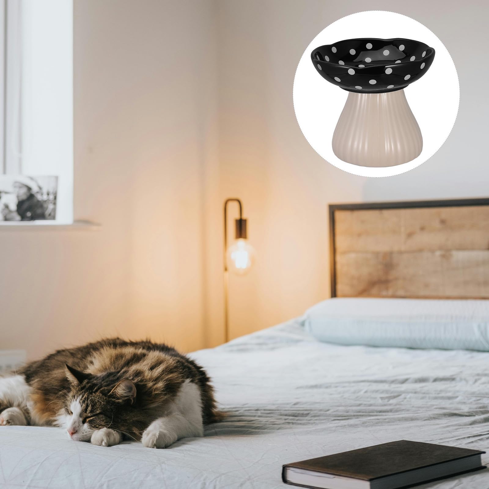 Cuenco Negro de Hongo Elevado Forma Cerámica para Gatos