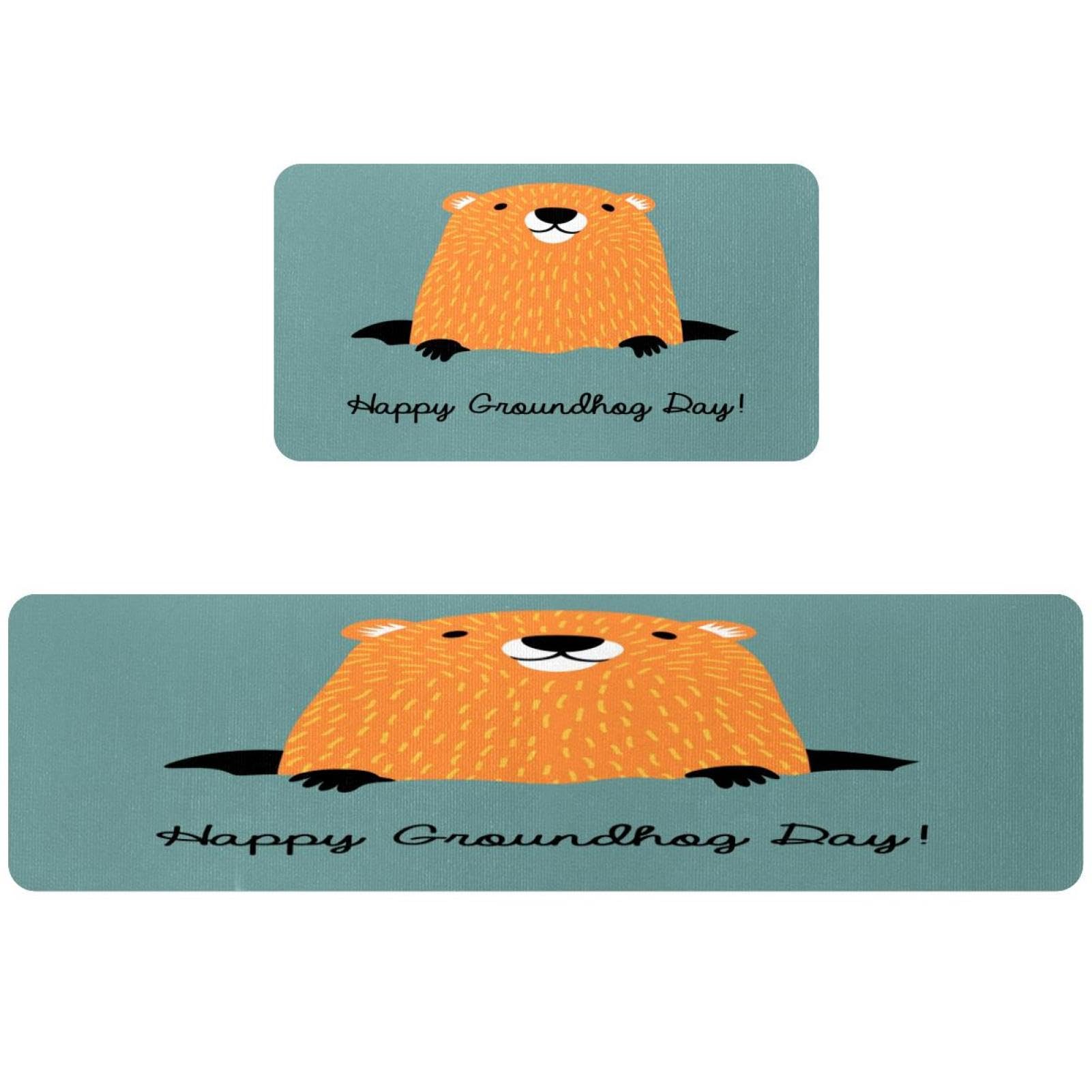 Tapis de cuisine antidérapant lot de 2 lavable absorbant couloir buanderie