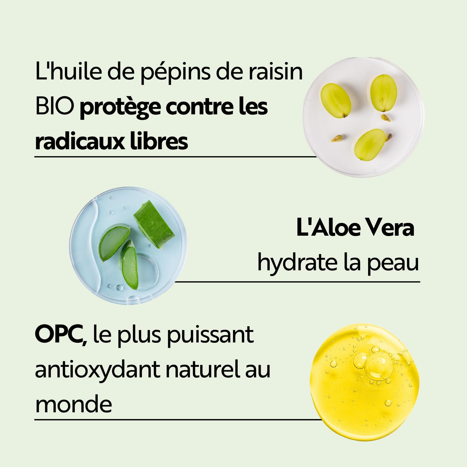 M. Asam Vino Gold Crème Visage 24H (100 ml) | Crème de jour & crème de nuit 24h Contre les rides & ridules, Protection contre le vieillissement prématuré, Anti-âge