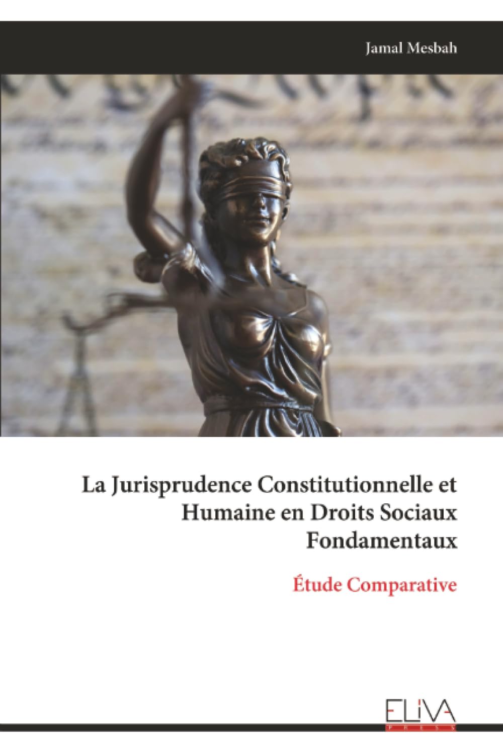 La Jurisprudence Constitutionnelle et Humaine en Droits Sociaux Fondamentaux: Étude Comparative